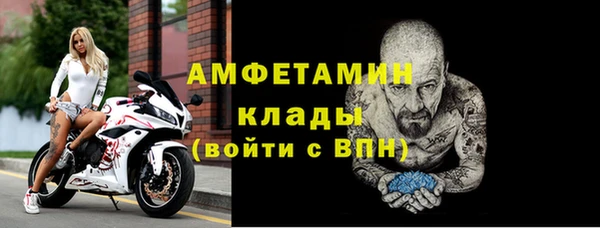 прущие крисы Бородино