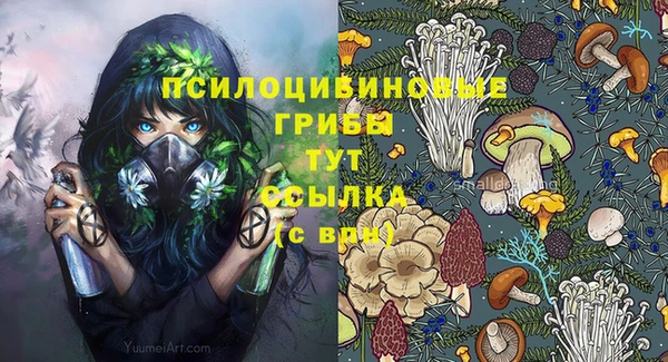 герыч Бугульма