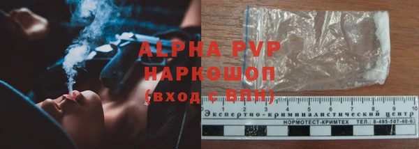 шишки Бронницы