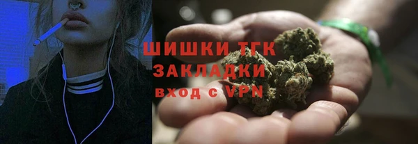 шишки Бронницы