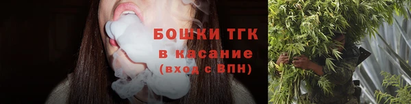 прущие крисы Бородино