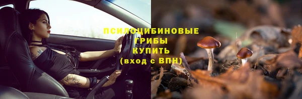 шишки Бронницы