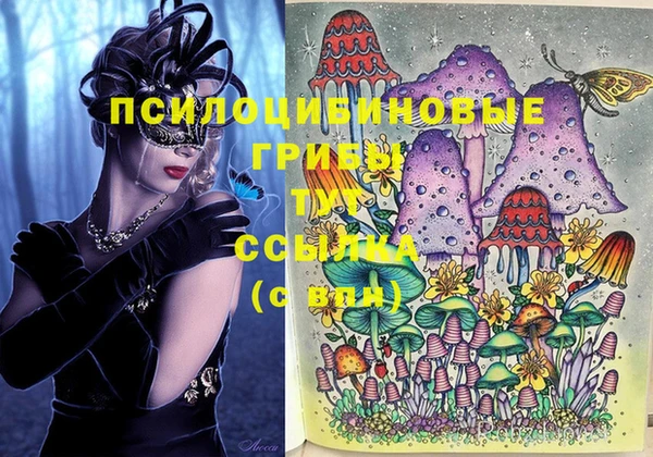 прущие крисы Бородино