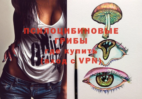 прущие крисы Бородино