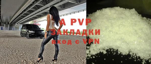 прущие крисы Бородино