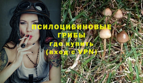 шишки Бронницы