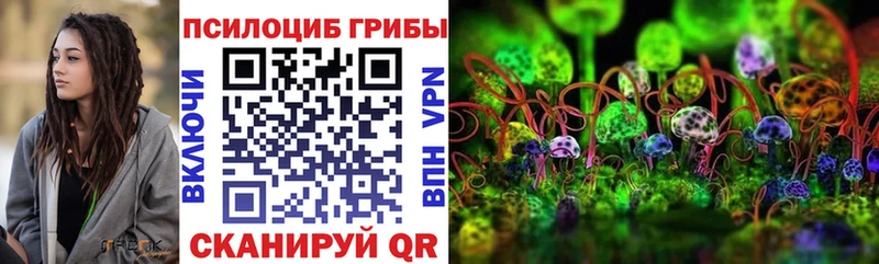 это клад  Красноярск  Галлюциногенные грибы прущие грибы 