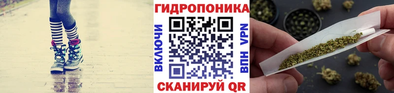 дарнет шоп  ссылка на мегу зеркало  Каннабис SATIVA & INDICA  Красноярск 